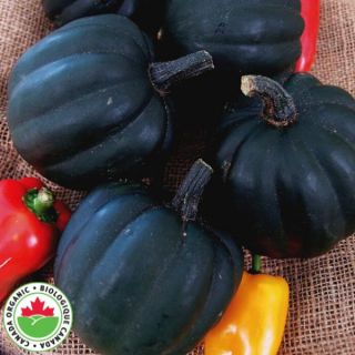 Table Sugar Organic Winter Squash Thumbnail